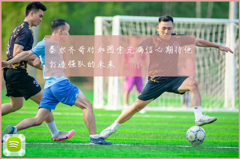 泰尔齐奇对加图索充满信心期待他打造强队的未来