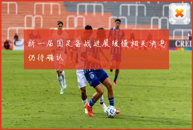 新一届国足备战进展缓慢相关消息仍待确认